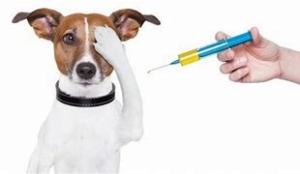 15.6.2024 vykcinácia v obci